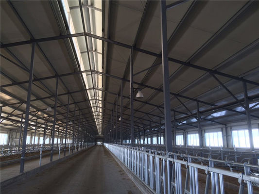 Prefabricated Insulation Steel Structure Cowshed With Sandwich Panel