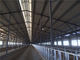 Prefabricated Insulation Steel Structure Cowshed With Sandwich Panel